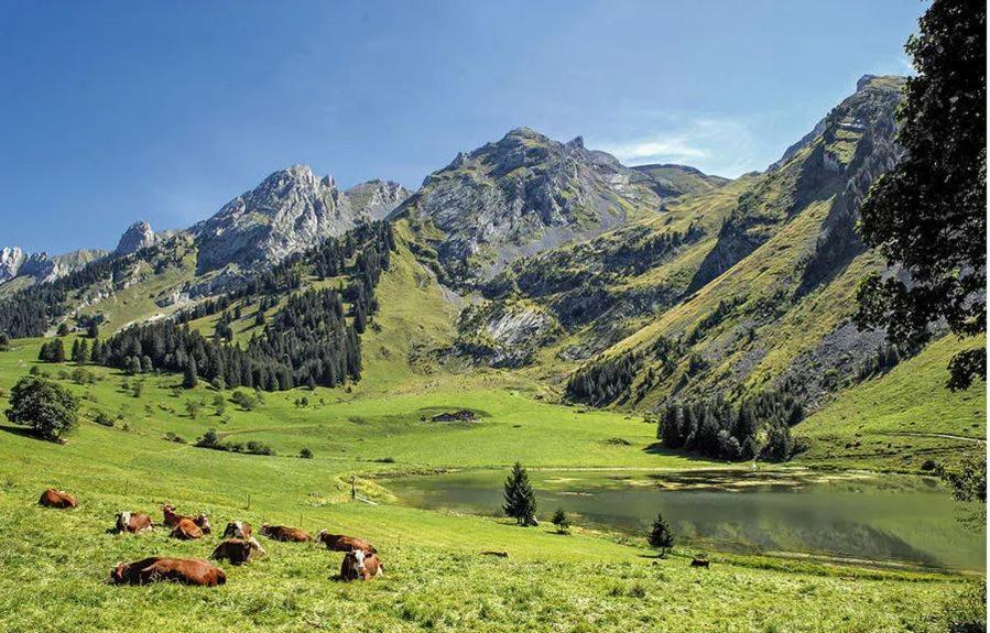 Hotel Les Aravis Saint-Jean-de-Sixt Esterno foto
