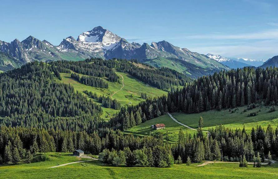 Hotel Les Aravis Saint-Jean-de-Sixt Esterno foto